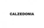 Calzedonia Spain